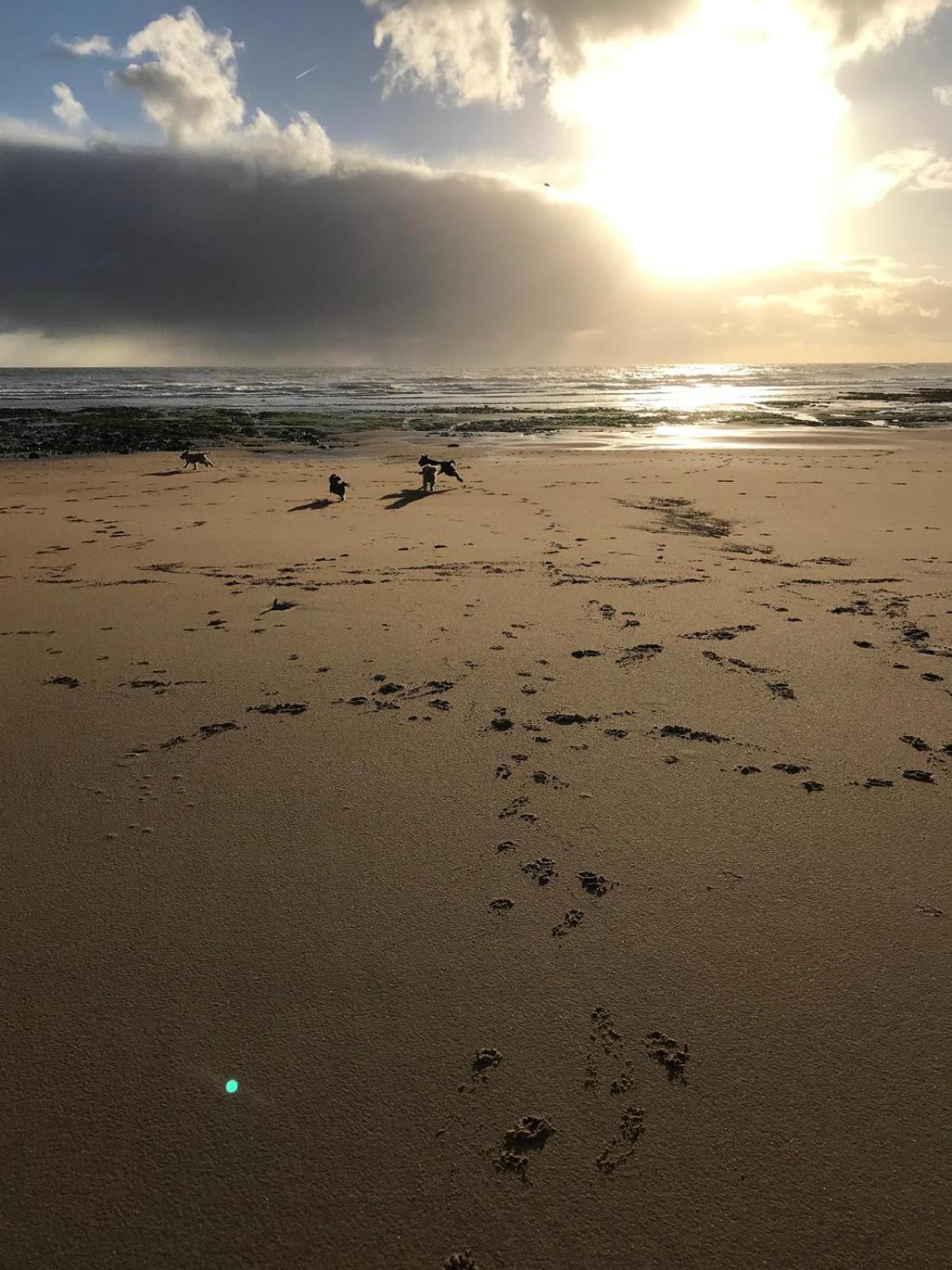 Сasa de vacaciones The Old Dairy With Parking - Dog Friendly Ramsgate